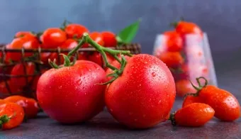 토마토 효능 항산화 작용과 피부건강 효과 정리_3