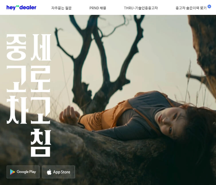 헤이딜러사이트메인화면