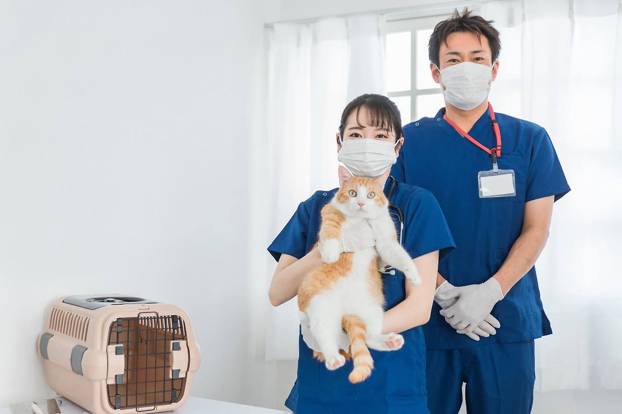 반려동물관리사 자격증