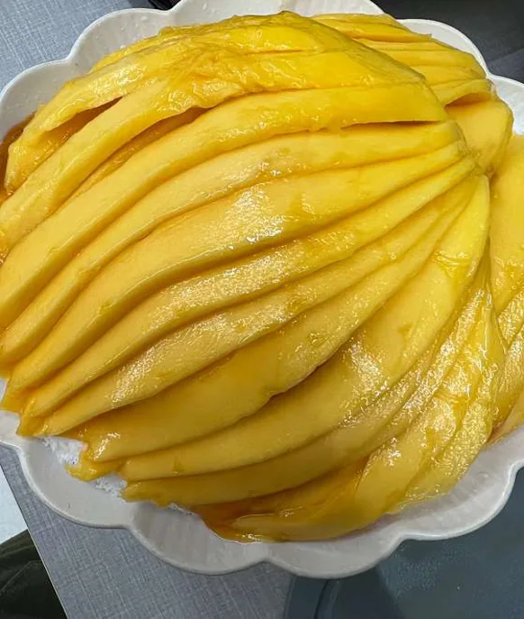 아리아리