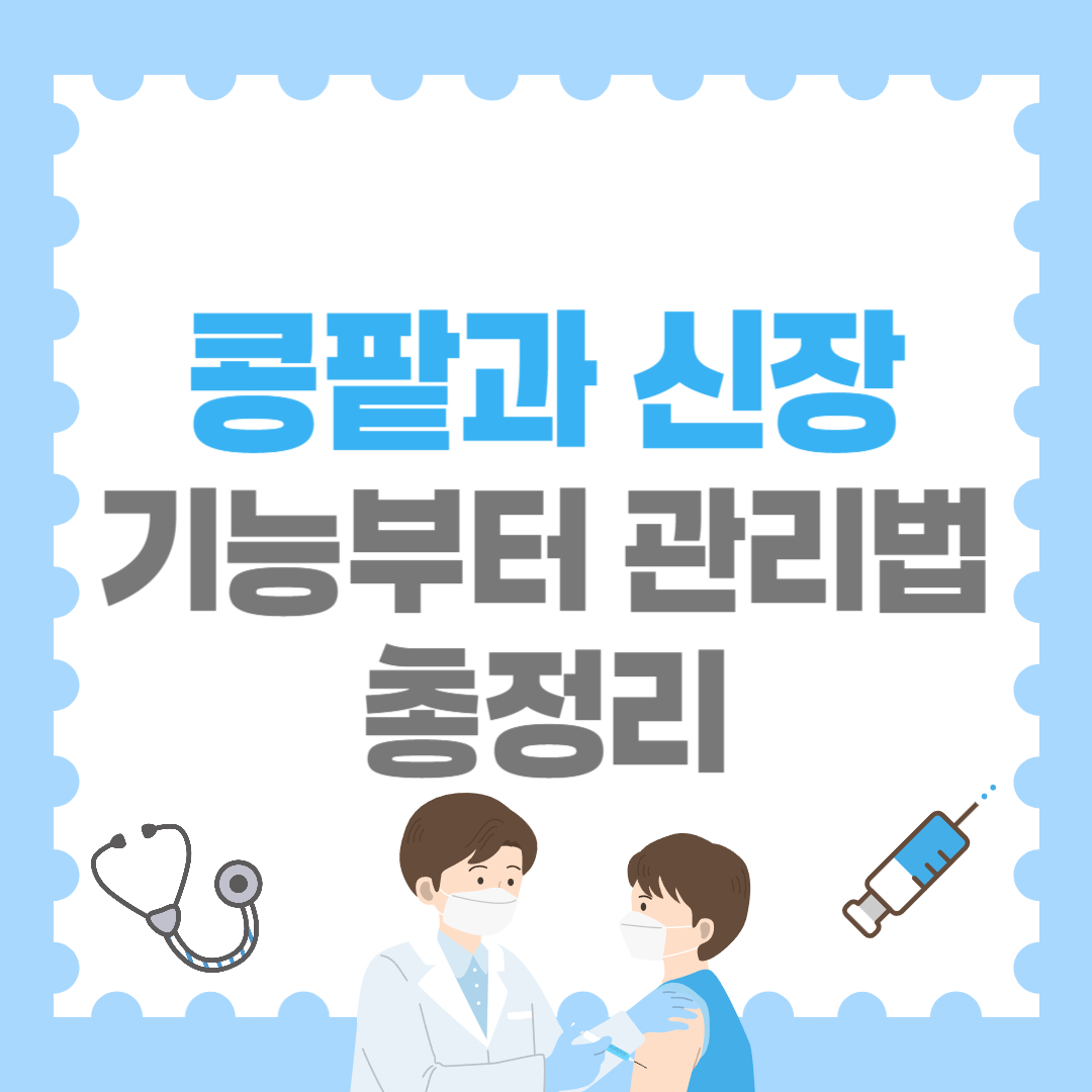 콩팥과 신장, 기능부터 관리법까지 총정리!