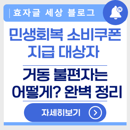 민생회복 소비쿠폰 거동 불편자