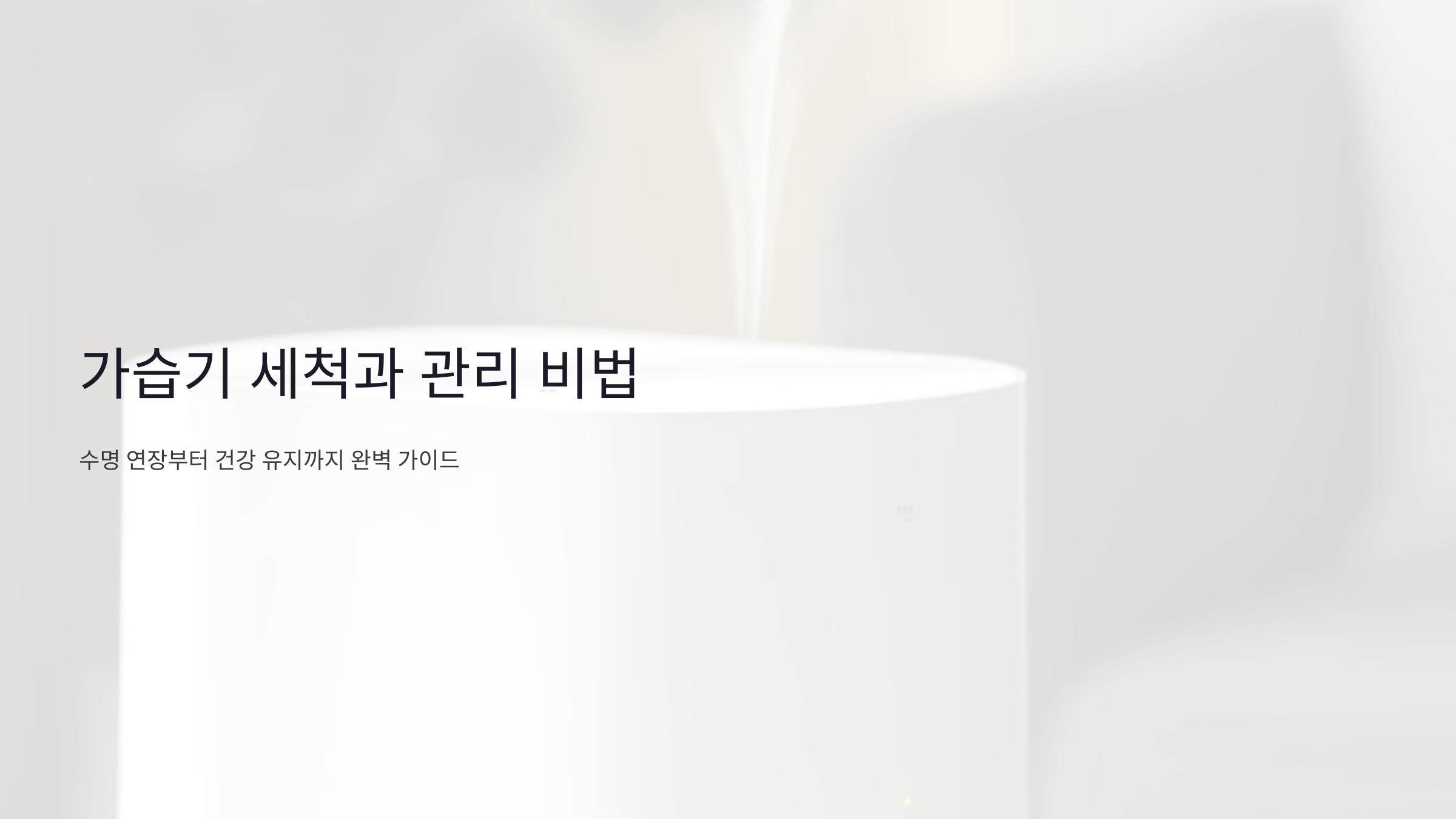 가습기 세척과 관리 비법: 수명 연장부터 건강 유지까지 완벽 가이드