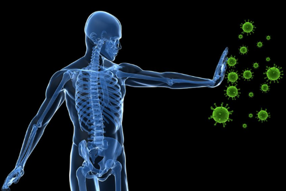 식품 알레르기 증가, 원인과 예방법