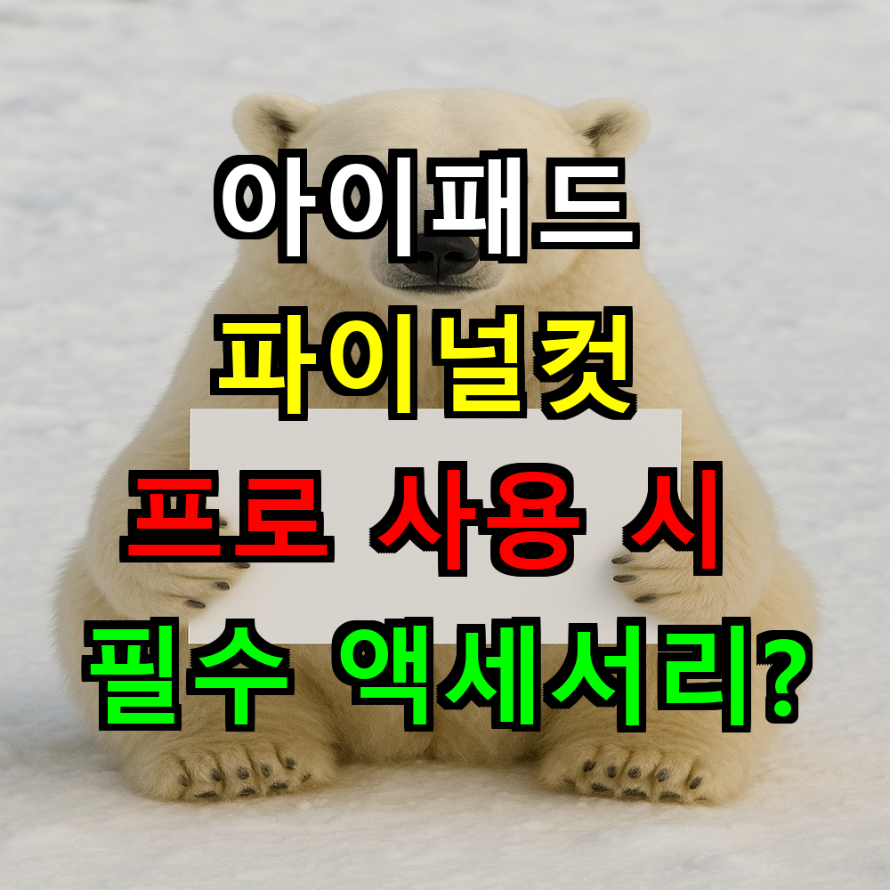 아이패드 파이널컷 프로 사용 시 필수 액세서리는?