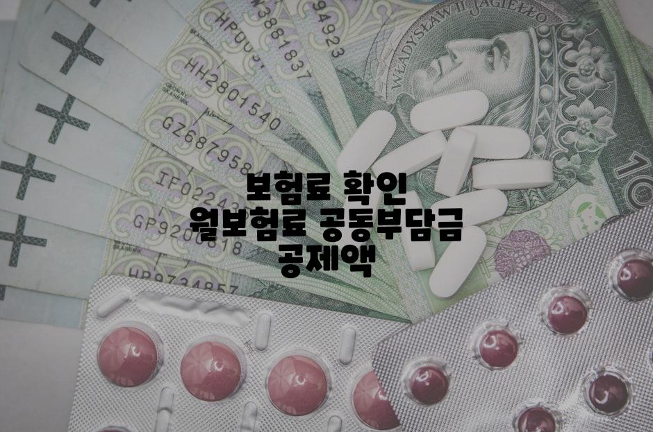 보험료 확인 월보험료 공동부담금 공제액