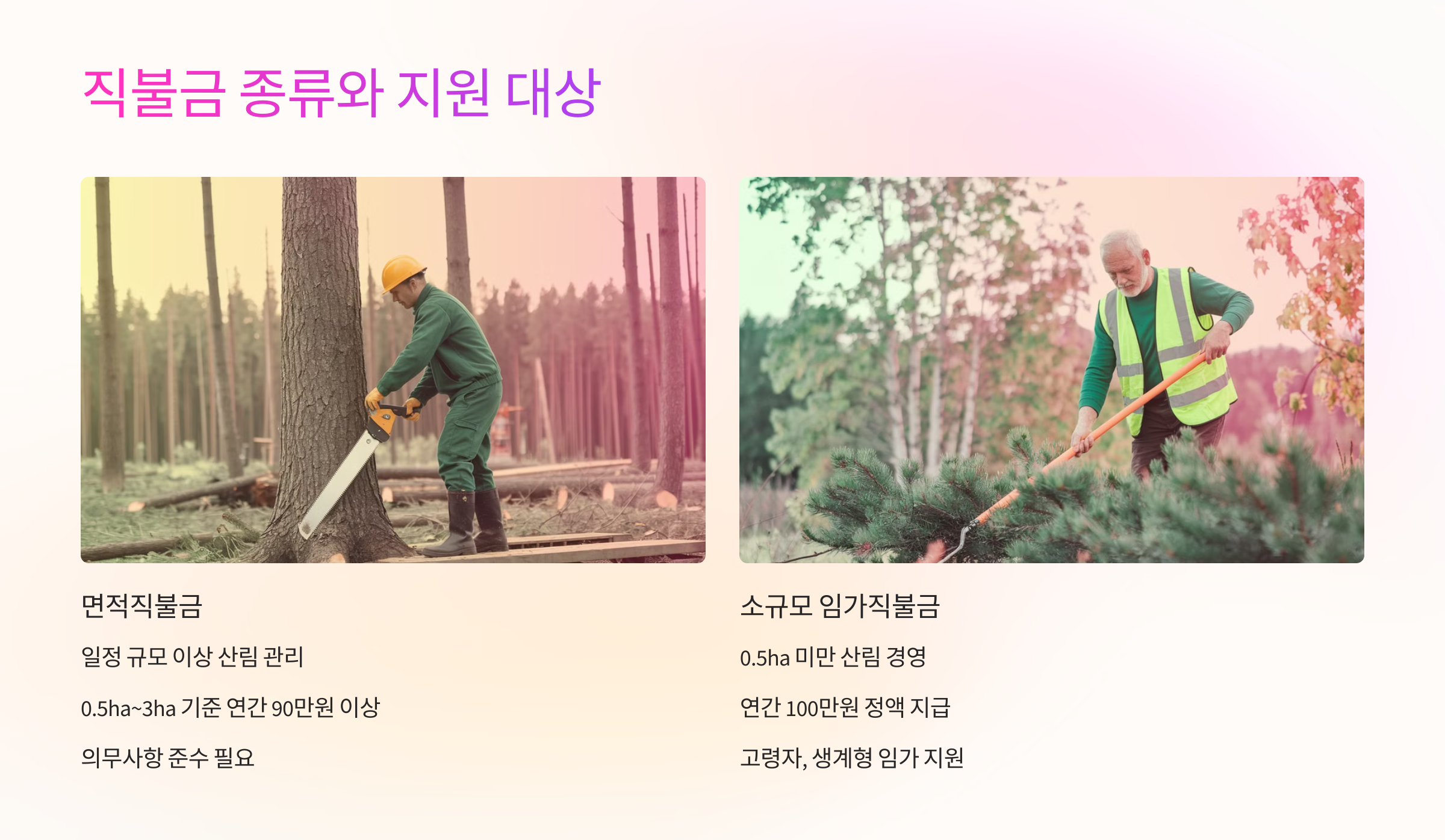 📘 직불금 종류와 지원 대상