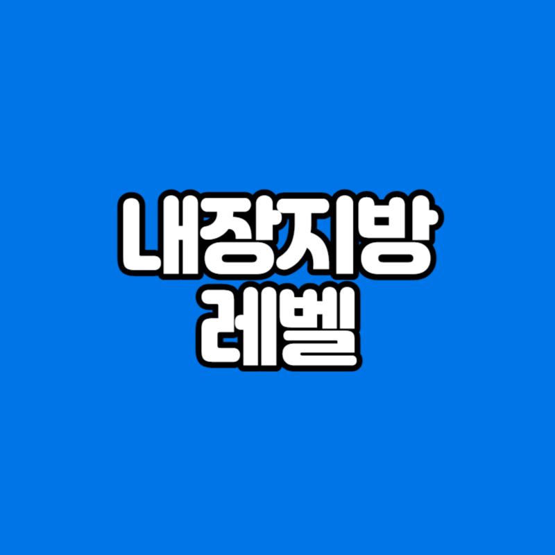 내장지방 레벨