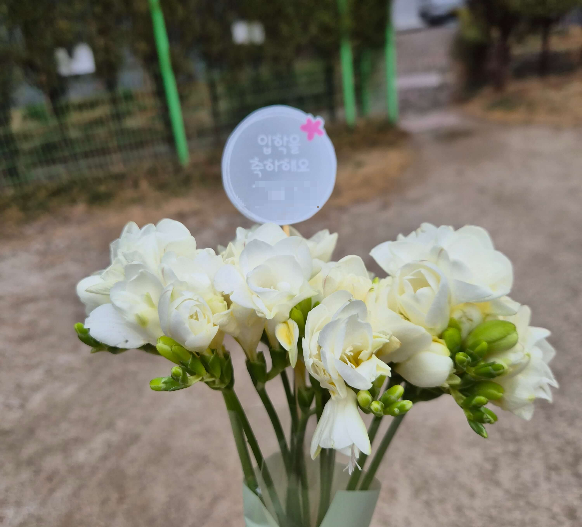 어린이집 입학