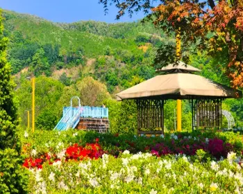 자라섬 꽃축제_27