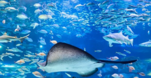 실내 데이트 스팟