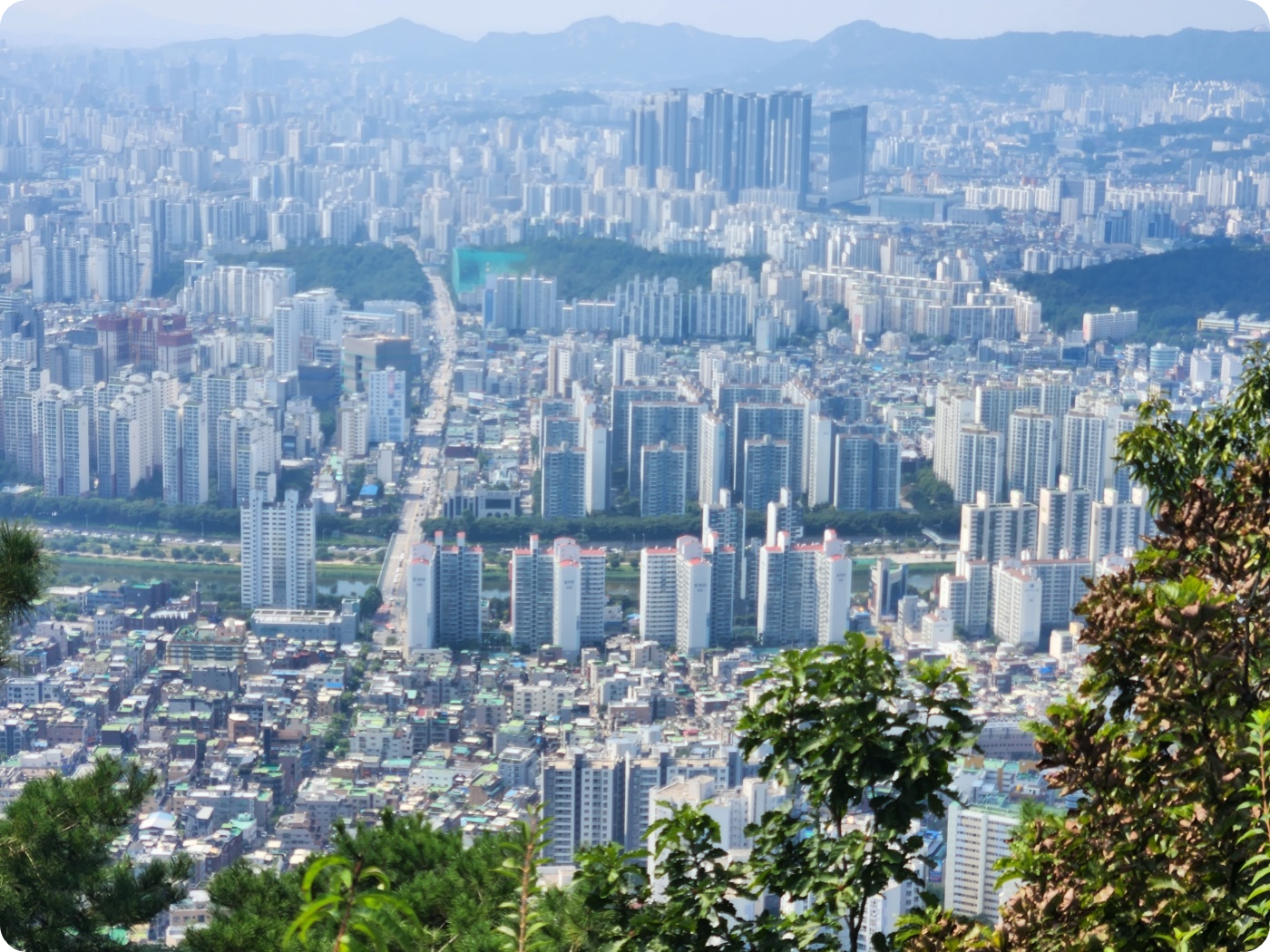 주택및 아파트 단지 전경