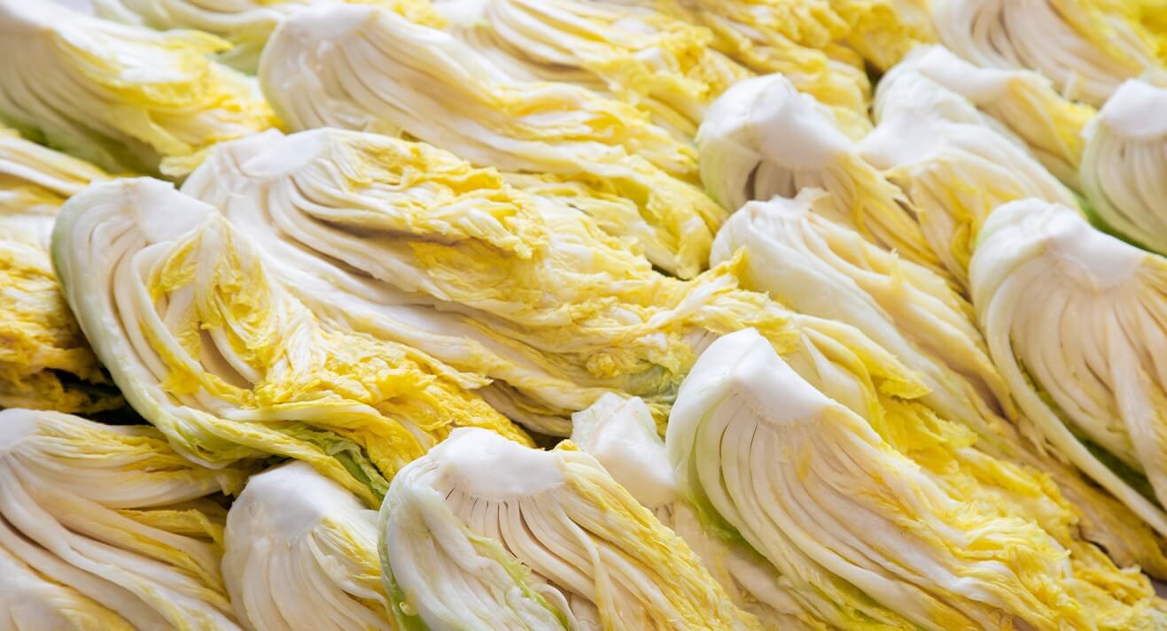 평창 고랭지 김장축제 예약 방법