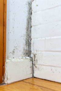 장마철습기관리