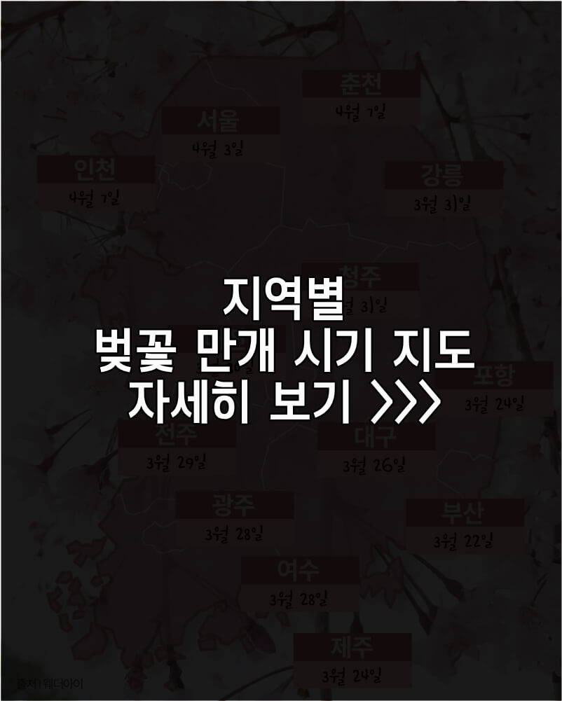 지역별-벚꽃-만개시기-지도보기