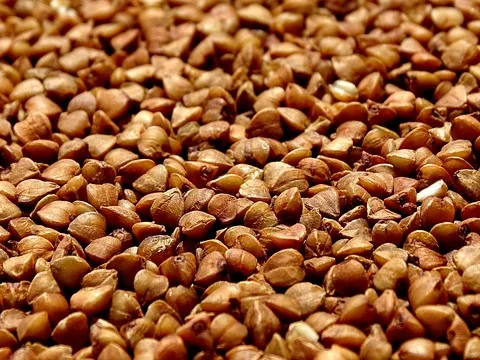 메밀껍질의 항산화 성분