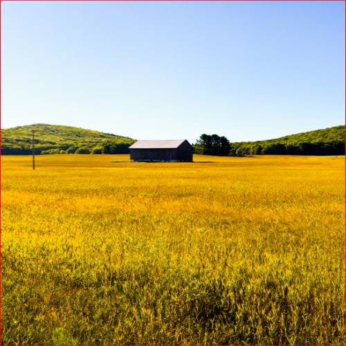 8년 이상 자경농지 양도소득세 감면