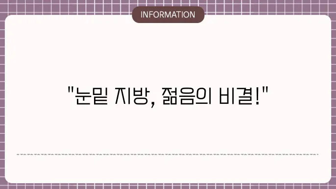하안검 눈밑 지방재배치