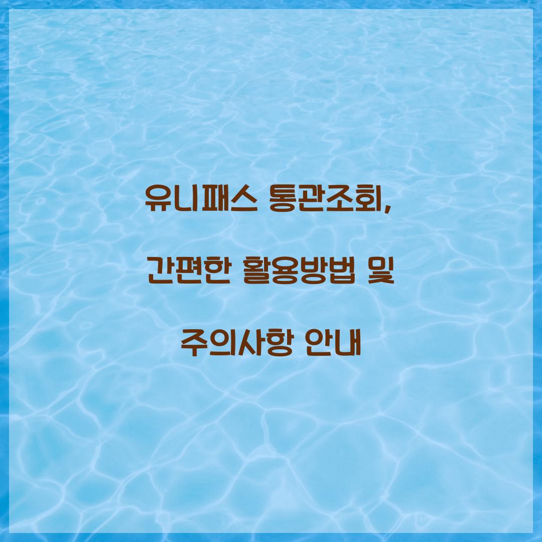 유니패스 통관조회