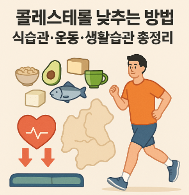 콜레스테롤 낮추는 방법 ❘ 식습관, 운동, 생활습관까지 총정리