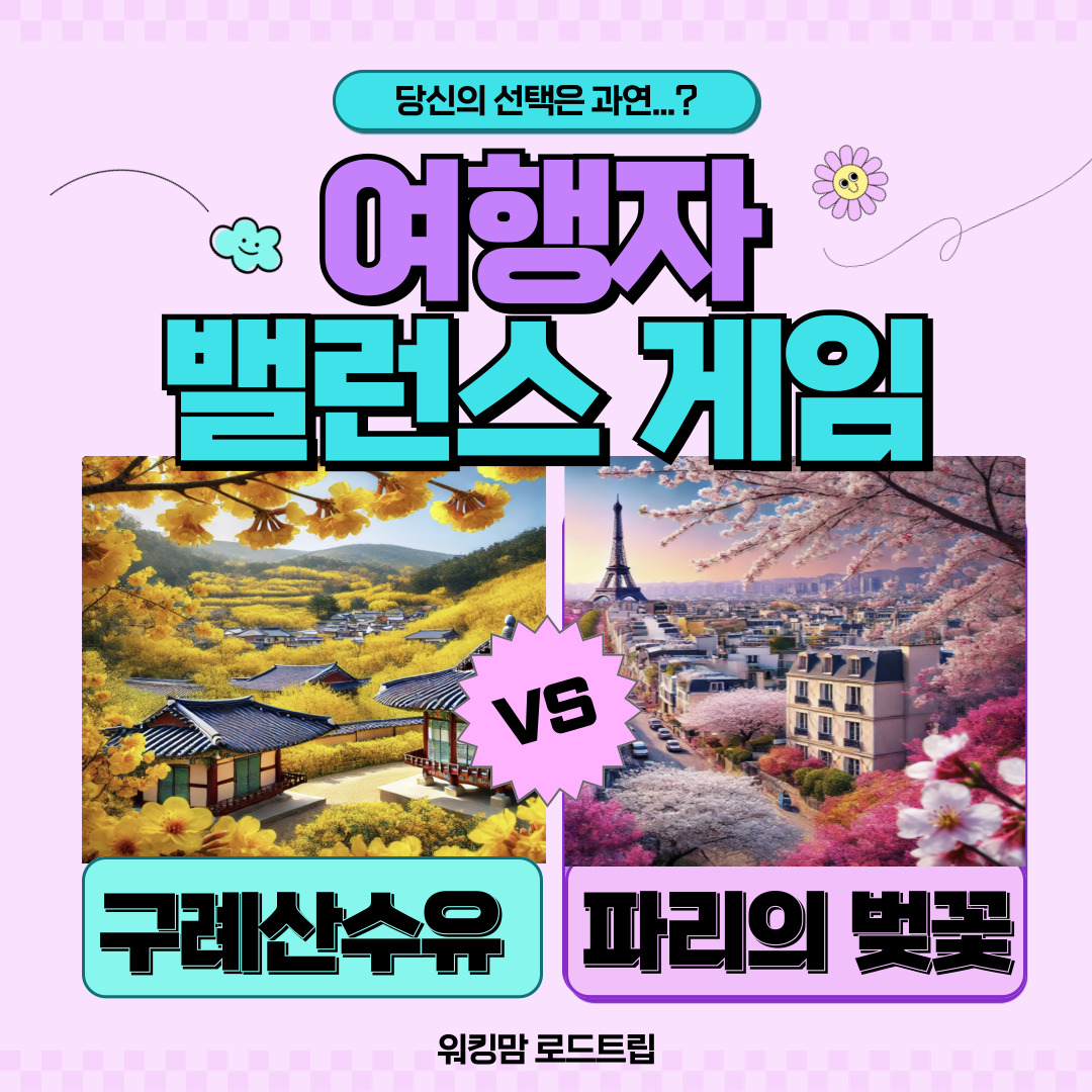 벚꽃이 피면 떠나야 할 곳! 구례 산수유 vs. 파리 벚꽃, 당신의 선택은?-제작이미지