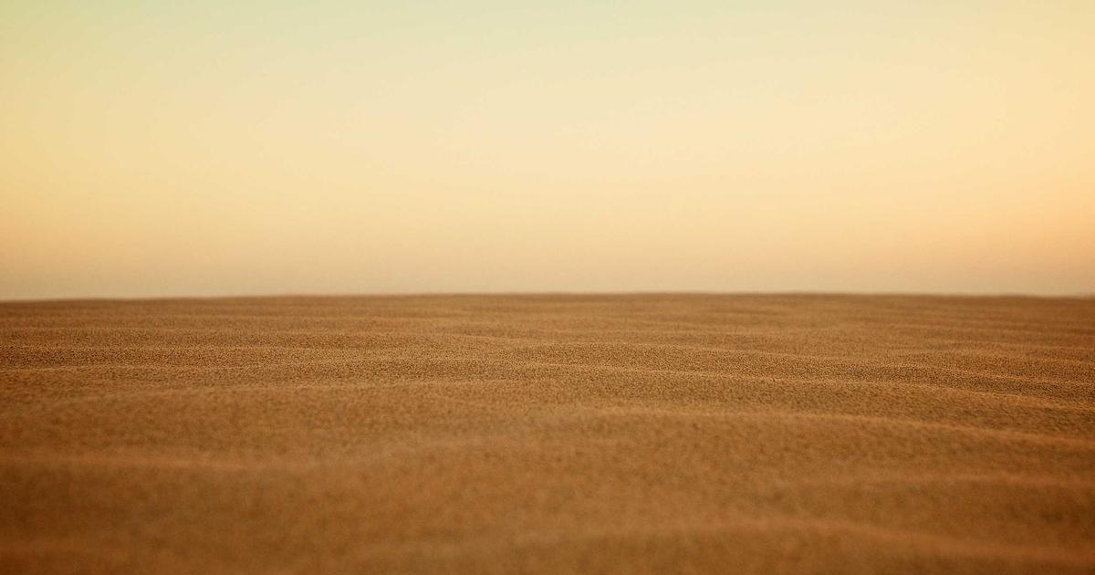 woman enjoying coffee while journaling at her bright home office