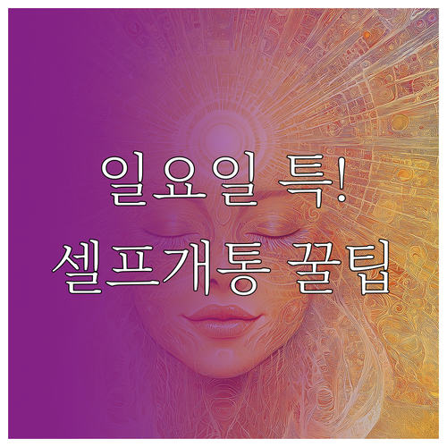 알뜰폰 셀프개통, 일요일과 공휴일은 ..