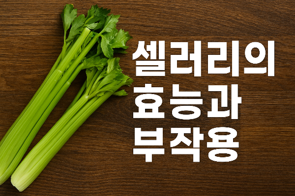 샐러리의 효능과 효과 영양소 및 부작용