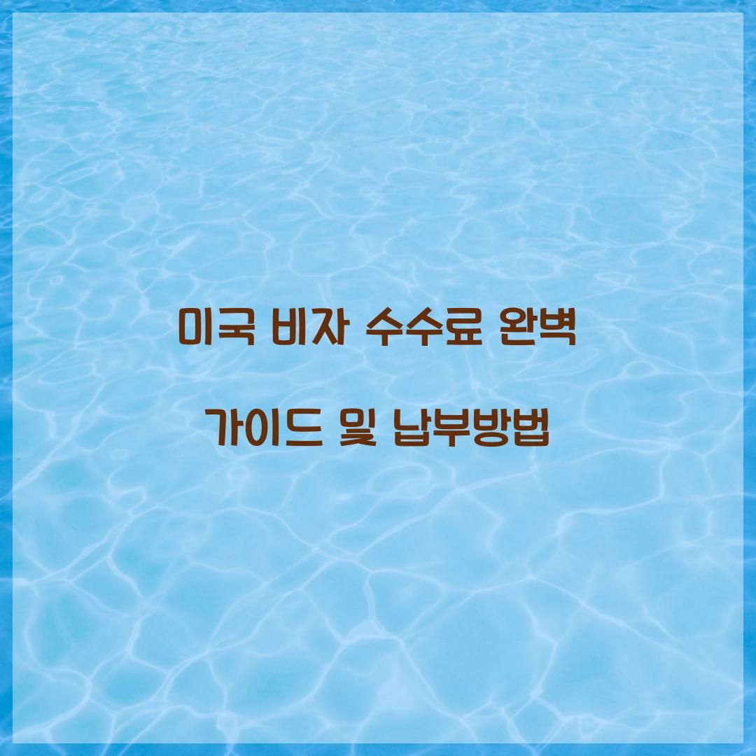 미국 비자 수수료