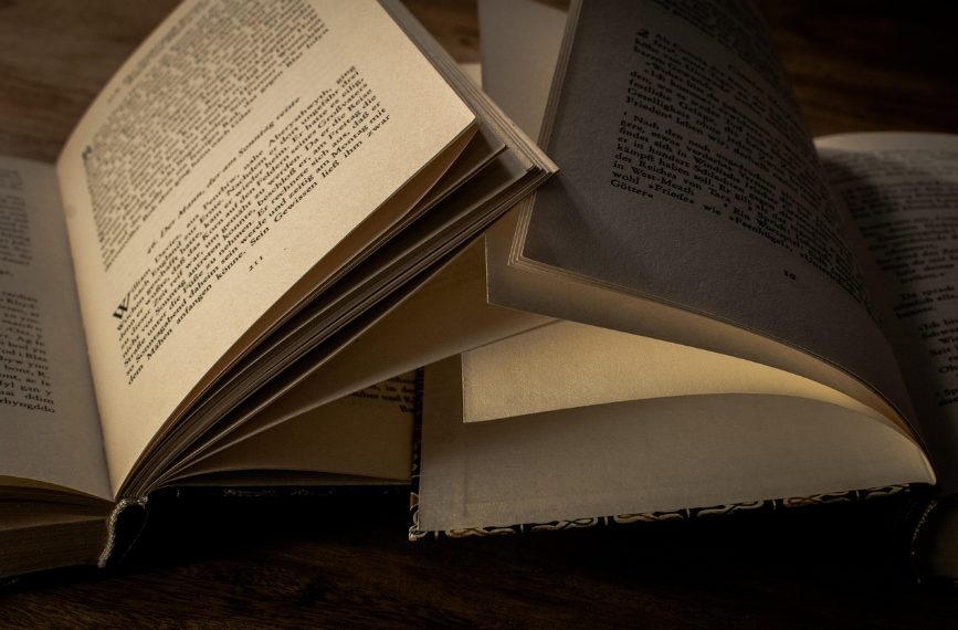 미스터리 덕후가 좋아할 작가 (심리, 비판, 융합) 참고 사진