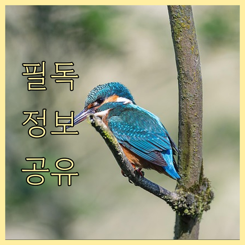 재활용부터 대형폐기물까지 과천 부림동..