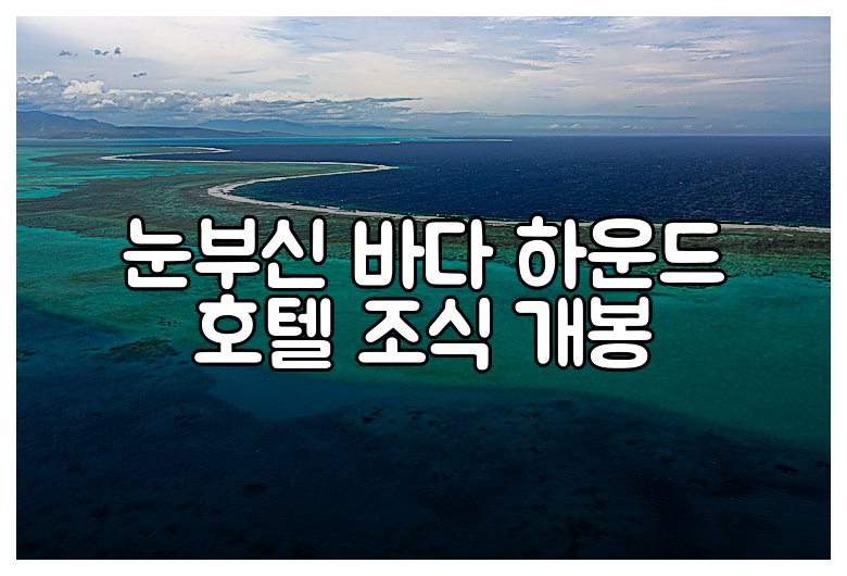눈부신 바다 하운드 호텔 조식 개봉