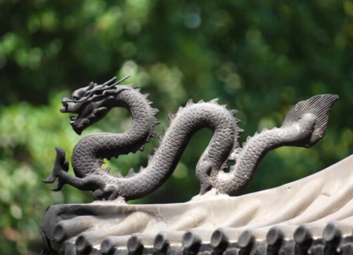 2024년 용띠 운세