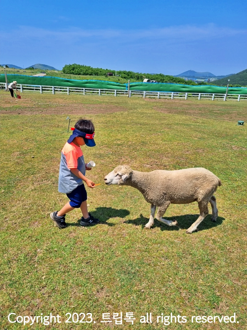 당근든 아이를 따라가는 양