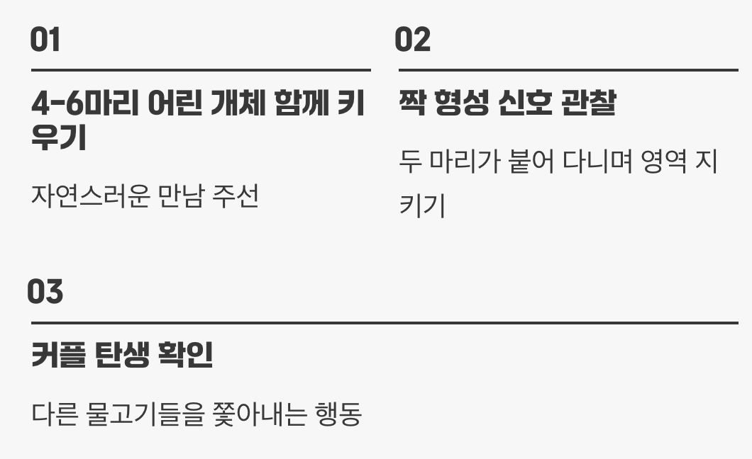운명의 짝, 어떻게 만들어질까?