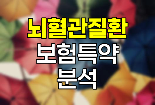 한화손해보험 뇌혈관질환 보험 특약 심층 분석