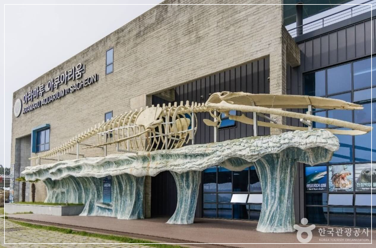 사천 가볼만한곳 베스트10 아라마루 아쿠아리움