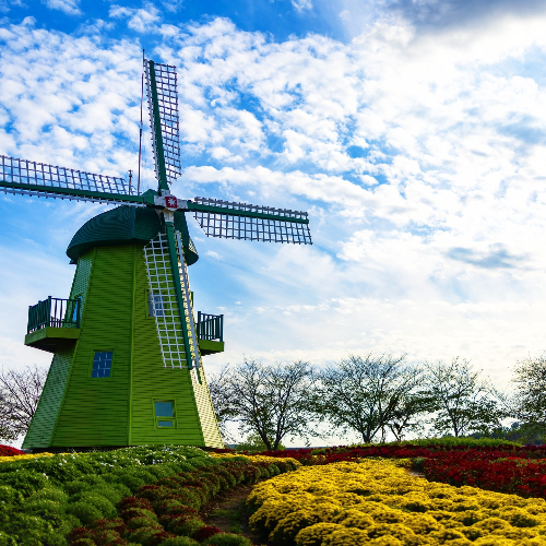순천만 갈대축제