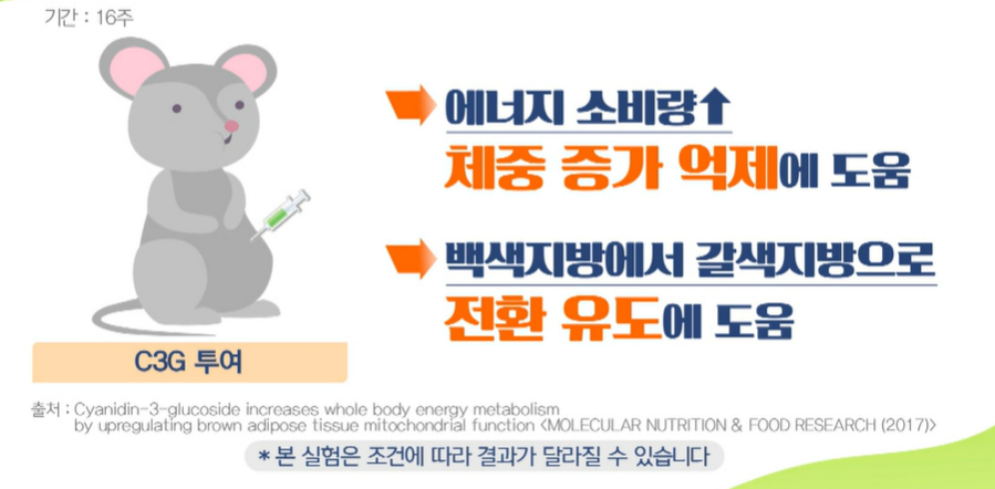 모로실 효능