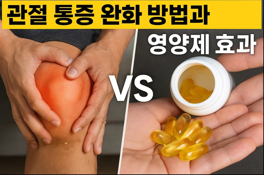 관절 통증 완화 방법과 영양제 효과 비교