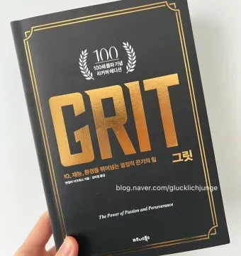 그릿 당신에겐 그릿이 있는가 성공의 요인_20