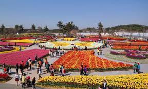  안면도 가볼 만한 곳 BEST 10