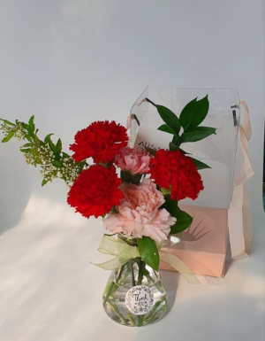 네이버 카네이션 이미지입니다.