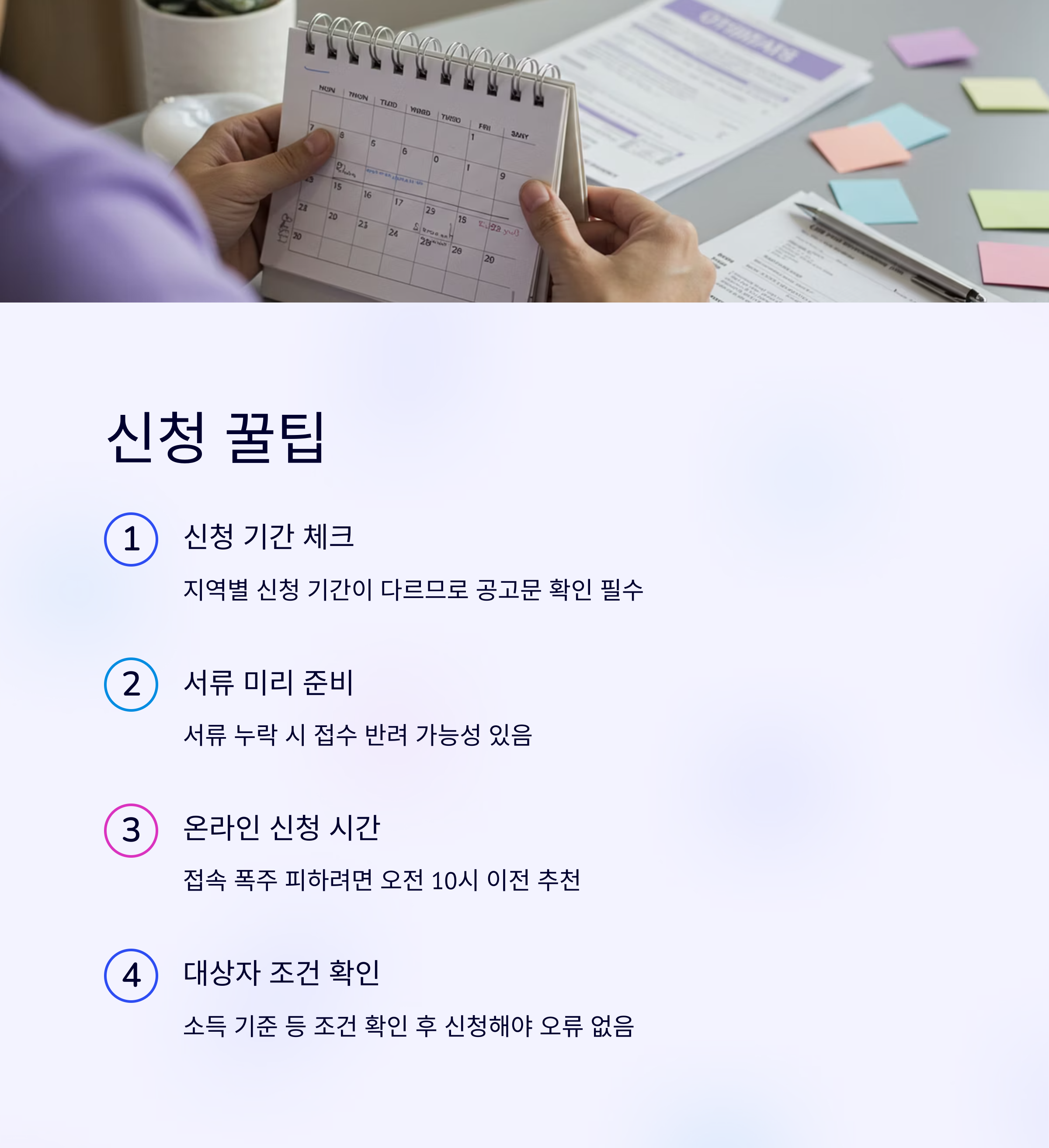 2025 민생지원금