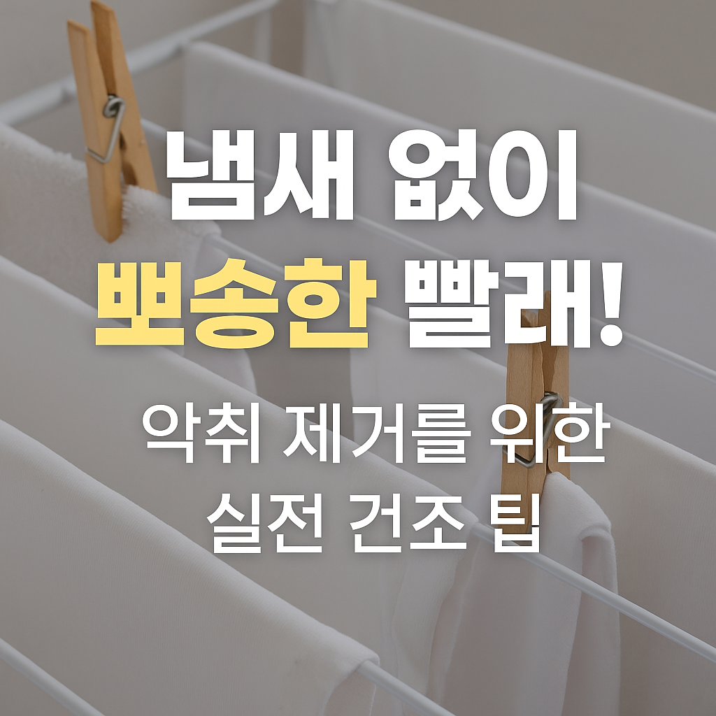 빨래! 악취 제거를 위한 실전 건조 팁