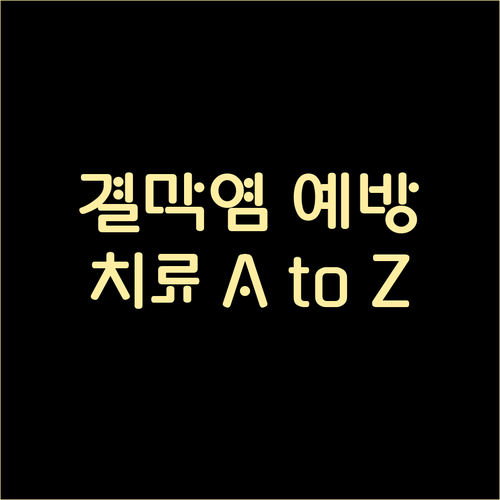 고양이 결막염 예방과 치료 A to