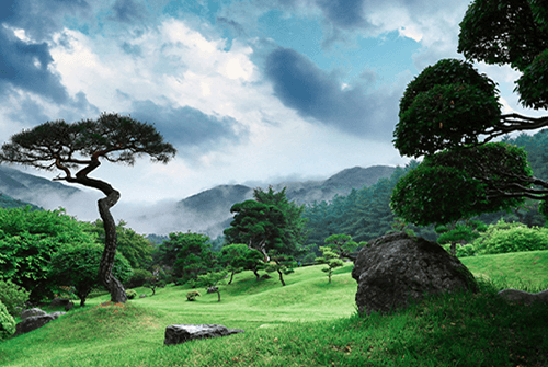 아침고요수목원07