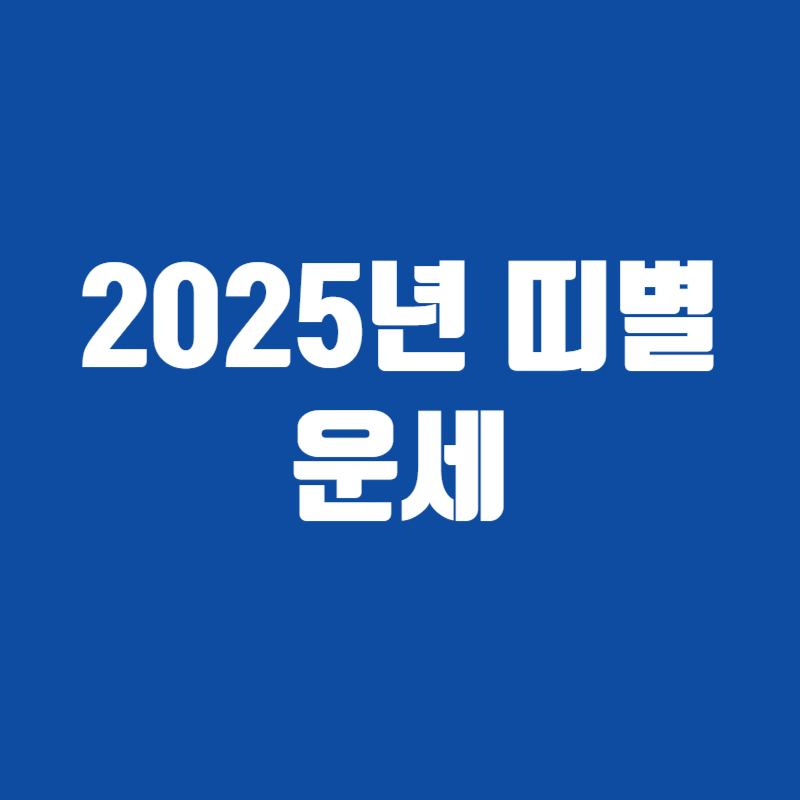 2025년 띠별 운세