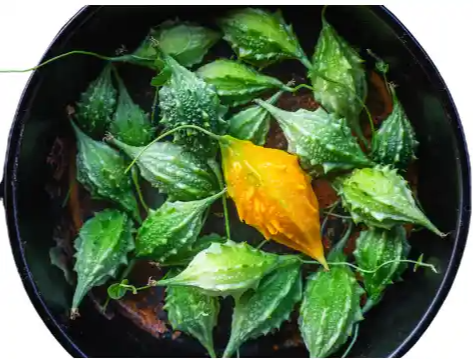 여주 효능 및 부작용, 여주 먹는 방법