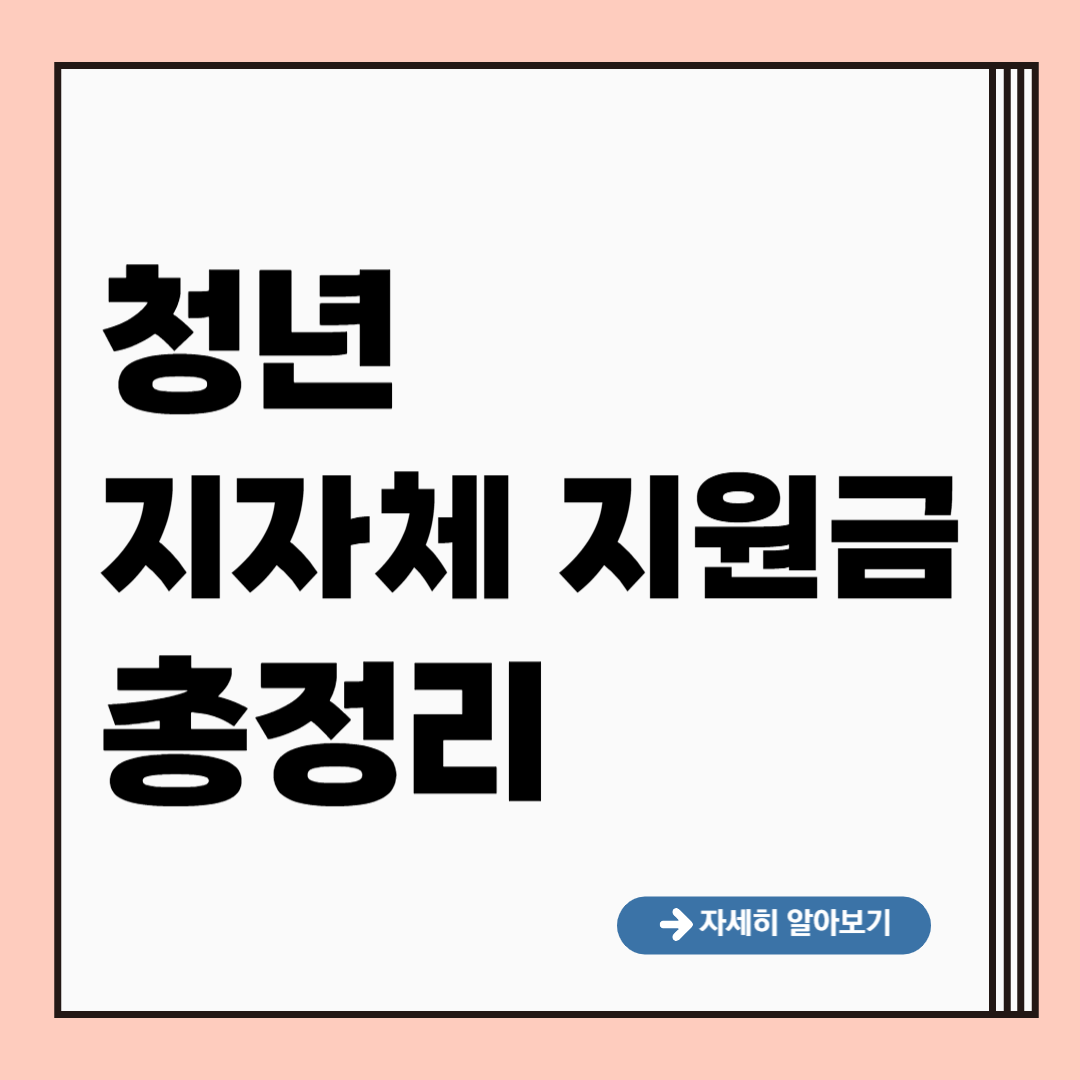 청년 지자체 지원금